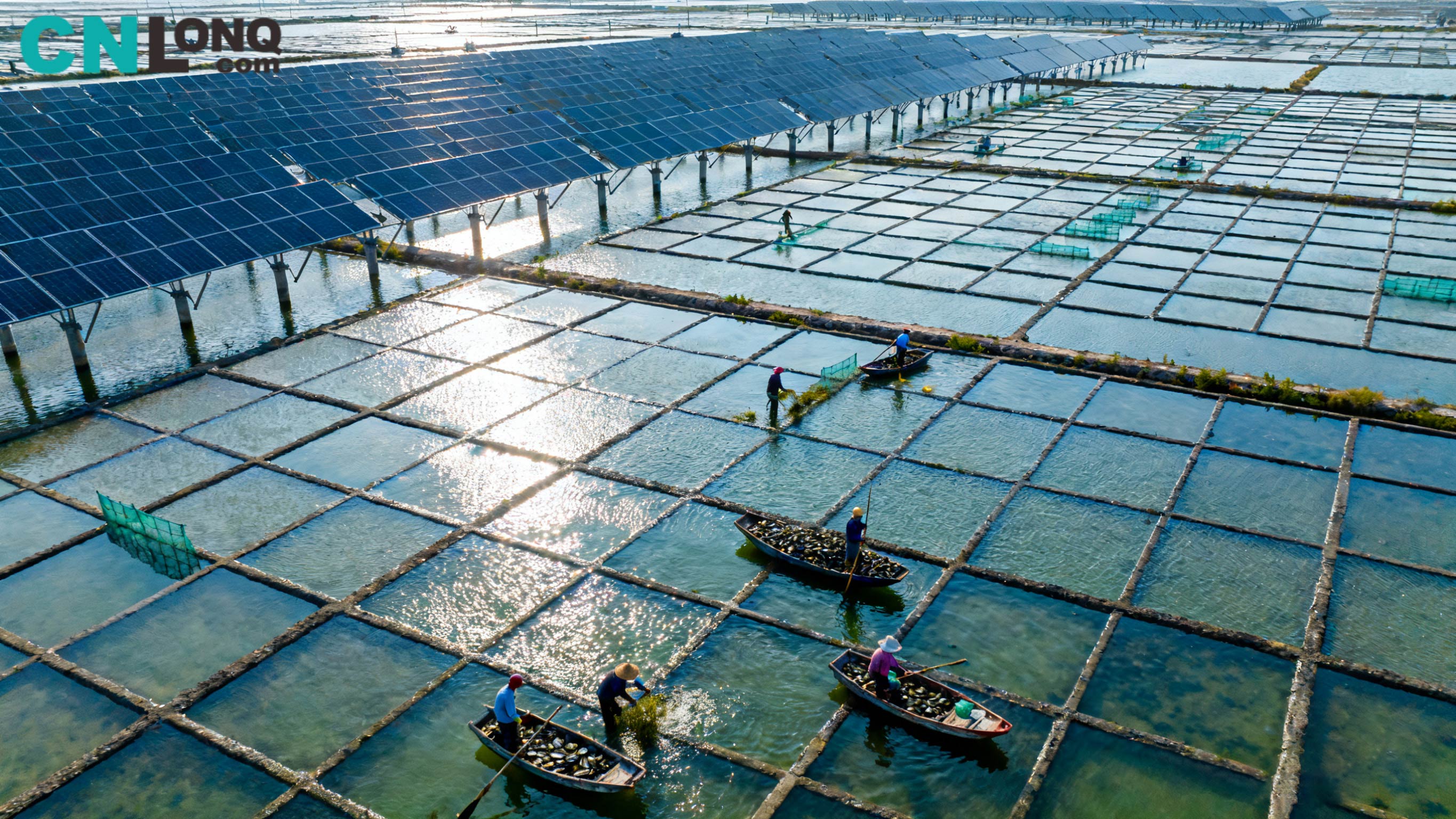 RMB 1.2 బిలియన్ల మొత్తం పెట్టుబడి! జిండావో కింగ్‌కౌ సాల్ట్ ఫీల్డ్ 250MW 